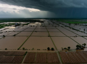 Inundații devastatoare în Thailanda: Provincii întregi distruse, zeci de victime