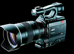 Căutare informații companie