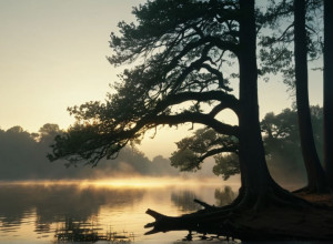 Roland Kaiser: "Sunt un visător, dar familia mea este un vis împlinit"