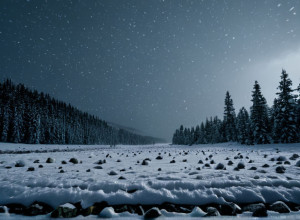 Germania se pregătește de iarnă: Vin ninsorile și temperaturile scăzute