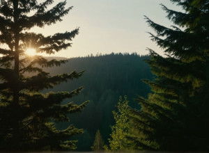 Explozie puternică în Berlin: Detonarea a 800 kg de artificii ilegale a zguduit capitala