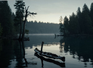 Descoperire Macabră în Paderborn: Osul din Lac Aparține unui Cap al Mafiei Dispărut Acum 23 de Ani