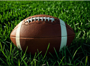 Hertha BSC: Săptămâna Adevărului pentru promovarea în Bundesliga