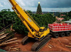 Tragedie în Brazilia: Un muncitor a murit după ce o macara s-a prăbușit la montarea unui brad de Crăciun
