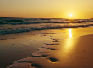 Jessica Alba, fotografii incendiare de pe plajă cu noul iubit, după divorț