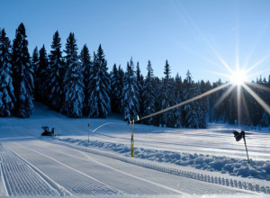 Start dezastruos pentru echipa feminină de biatlon a Germaniei la Cupa Mondială