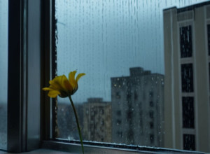 Tragedie în Düsseldorf: Mamă și bebeluș găsiți morți, tatăl arestat grav rănit