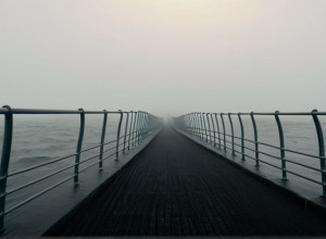 Partidul Verzilor din Germania se confruntă cu neîncrederea publicului: Doar 13% cred în succesul conducerii actuale