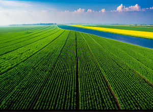 Protecția mediului și dezvoltarea durabilă