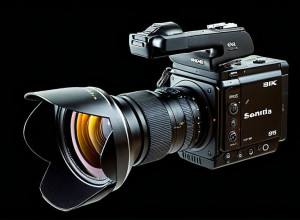 Putin a semnat legea privind amânarea mobilizării