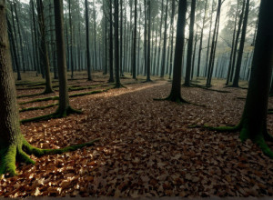 Fostul iubit, acuzat de uciderea influenceriței Stefanie P.: Corpul găsit într-o valiză