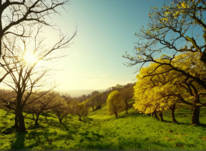 Vreme Neobișnuit de Caldă în Germania: Până la 18 Grade Celsius la Început de Decembrie