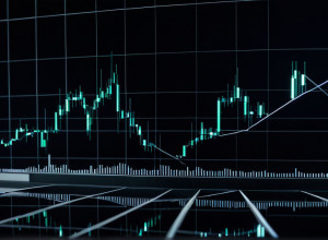 Profesorul de la Harvard Kenneth Rogoff: „Aș investi oricând în Germania”