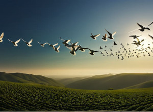 Andrea Berg a lansat în premieră „Porumbeii Albi” la gala caritabilă „Ein Herz für Kinder”