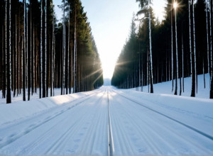 Biatlonista Julia Tannheimer și-a îndeplinit norma olimpică