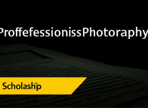 Burse pentru studenți