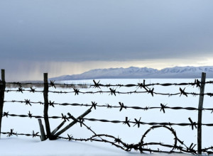 Mărturii șocante: Copii ucraineni, deportați în Coreea de Nord pentru indocrinare militaristă