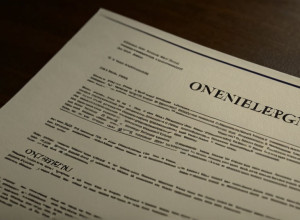 Alice Weidel, Lidera AfD, Atacă Serviciul de Protecție a Constituției, Comparându-l cu Stasi