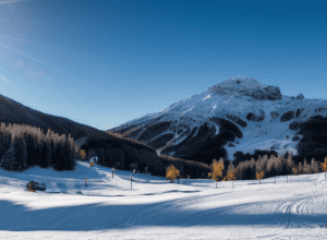 Atac din telescaun: Tânăr aruncă un bulgăre uriaș de zăpadă și rănește un bunic pe pârtie – Incident șocant în Alpe d'Huez