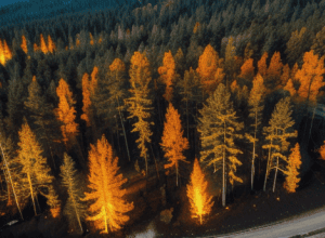 Incendii devastatoare în apropiere de New York, la scurt timp după dezastrul din Los Angeles: Haos și panică în Hamptons