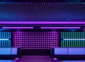 Senzația Petrecerilor: Boxa Karaoke 6D – O Experiență Imersivă Unică