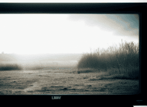 Acuzații Grave de Violență Împotriva lui Danny Liedtke – RTL Îl Dă Afară pe Starul din «Köln 50667»!
