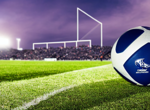 Mainz: După telemuncă, spre Champions League