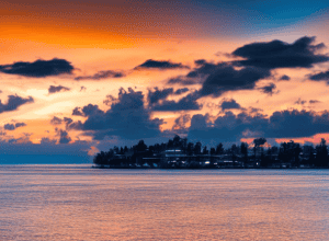 Jucătorul de la Mainz, viitor la Dortmund? Analiza transferului