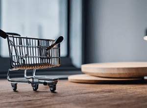 Poliția vinde online bunuri furate – Un venit neașteptat!