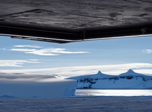 Invazia pestei aviare în Antarctica: Pinguinii în pericol, monitorizați de cercetători