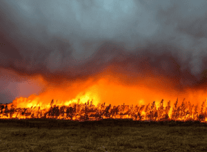 Val de tornade ucide cel puțin 32 de persoane în Vestul Mijlociu și Sudul Statelor Unite