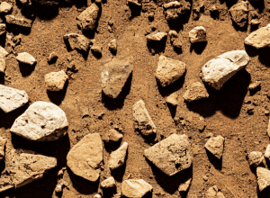 Ceramica definește granițele primului stat din Europa de Vest: Descoperiri arheologice despre El Argar