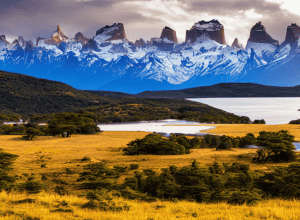 Familia Tompkins: de la producerea de echipament sportiv la conservarea Patagoniei chiliene - Un exemplu de antreprenoriat ecologic