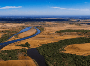 Guadalquivir: Pești Contaminați cu Metale, Alertați de Experți