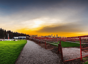 Germania: Stadiul negocierilor de coaliție