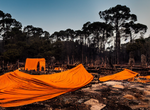 Incendii devastatoare în Coreea de Sud: 18 morți