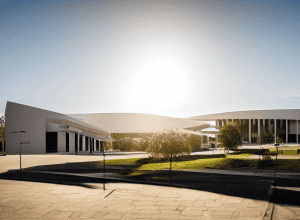 Politiciană Verde: Somon mort în Parlament Australia