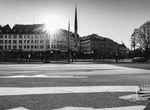 Frankfurt: Prindere cu Violență - Căutat (26) Arestat