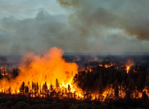 Incendii devastatoare în Asia: 26 de morți și pagube uriașe