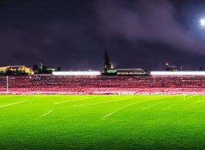 Fortuna Düsseldorf: Zimbo, Garanția Victoriei în Lupta pentru Promovare