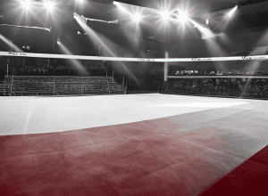WWE la Londra: RAW și SmackDown live și exclusiv