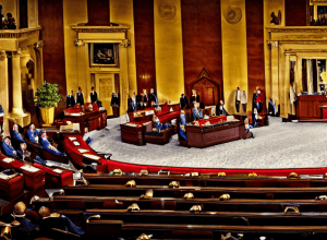 Scandal în Congres: Musk absent, un politician explodează!