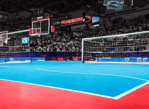 Handbal Bundesliga: Füchse Berlin vs. HSV Hamburg - Unde vezi meciul