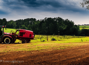 Accident grav în Gau-Algesheim: Tractor s-a răsturnat