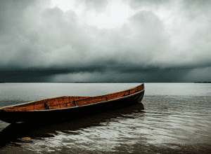 Atac Crocodil Fatal în Indonezia: Victima Purată în Mare