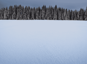 Accident grav Bavaria: 6 copii răniți cu snowmobilul