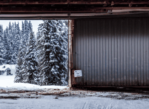 Petrecere în Bavaria: 6 copii răniți cu snowmobilul
