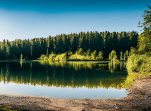 SOS! Lacul Basaltic din Bad Marienberg pierde apă!