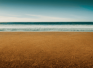 Invazie de meduze pe Mallorca: Panică pe plajele spaniole