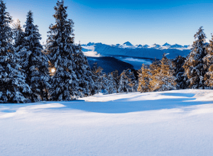 Iarna revine în Erzgebirge: Zăpadă pe Fichtelberg!